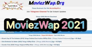 How to Use The moviezwap org 2021 website