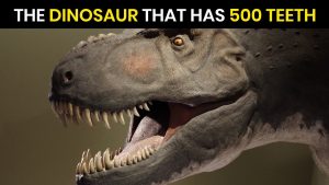 Which Dinosaur Has 500 Teeth?