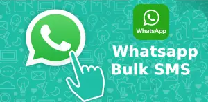 How Do I WhatsApp Bulk SMS For My Company?